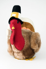thanksgiving turkey toy