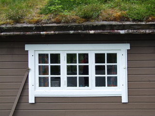 white window and roof with grass