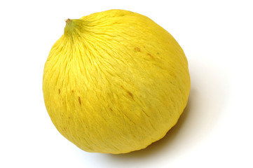 casaba melon