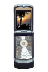 handy mit palme