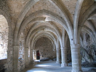 Fototapeta premium castle