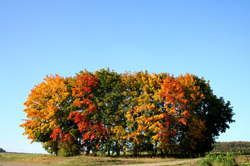 Obraz premium herbst in bayern
