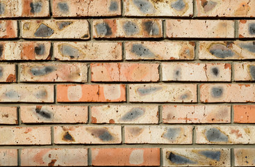 burnt bricks