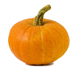pumpkin isolated on white  background