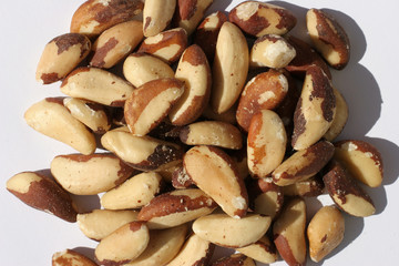 paranüsse 1