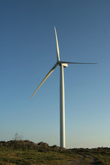 a windmill used for energy