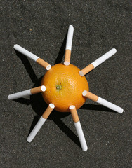 orange und zigaretten 3