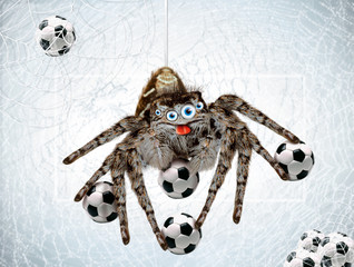 spidergoal