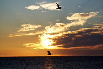 coucher de soleil