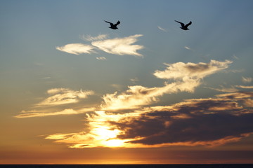 Fototapeta premium coucher de soleil