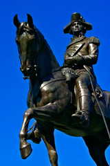 Fototapeta premium boston public garden