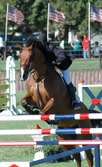 show horse jumping barrier