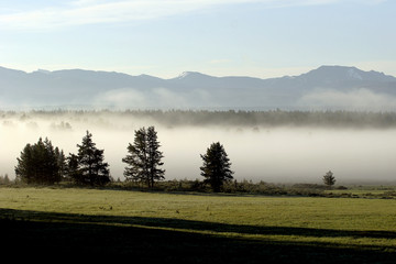 yellowstone fog