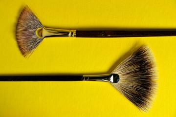 fan brushes