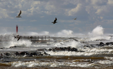 wind ower the sea