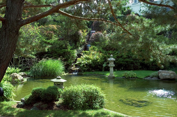 japanese water garden