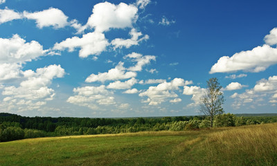 Fototapeta na wymiar krajobrazu wiejskiego
