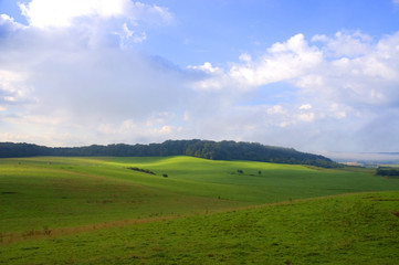 Fototapeta premium campagne