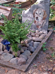 memorial for dog