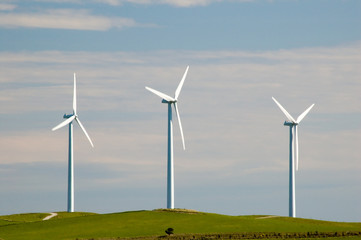 Fototapeta premium three wind turbines