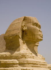 sphynx egypt close up
