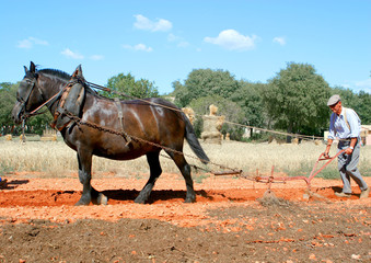 laboureur et son cheval