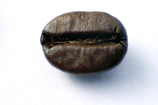 kaffeebohne