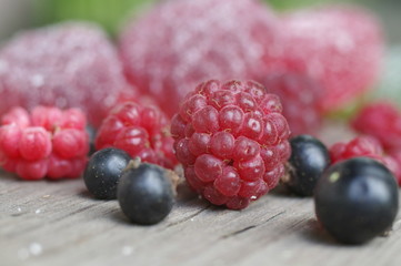red raspberry with black-currant and jelly closeup