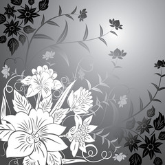 Fototapeta premium floral background, elements for design