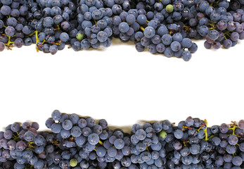 frame of grape