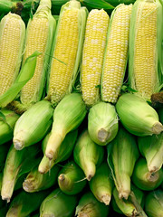 corn arrangement 2