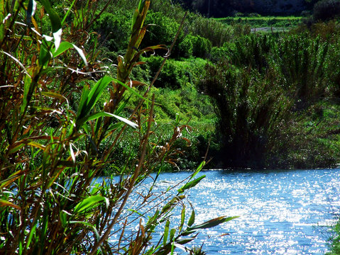 chadwick lakes
