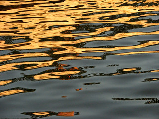 water reflection
