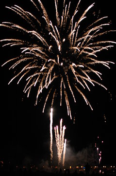 feux d'artifices - palmier