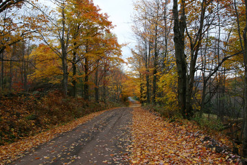 Fototapeta na wymiar road to autumn