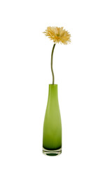 blume in vase