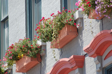 Naklejka premium window box