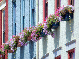 window boxes on city wall