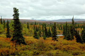 alaskan landscape