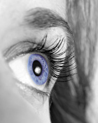 a blue eye is isolated - 1209791