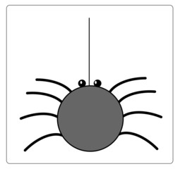 animal illustration series: spider