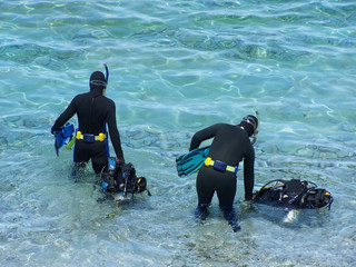 scuba divers