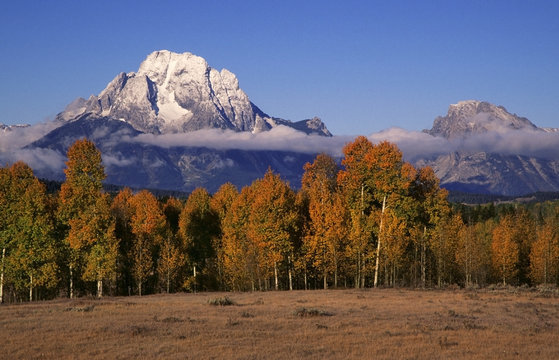 Mount Moran