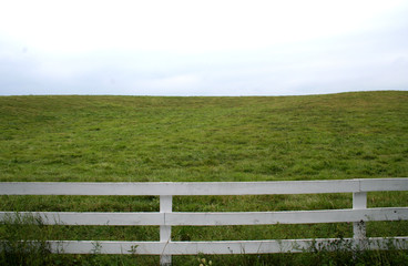 open field