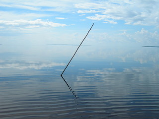 abstract composition with stick on the amazon