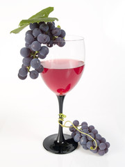 wine