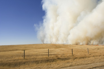 Fototapeta na wymiar łąka pożaru