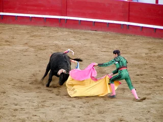 Afwasbaar Fotobehang Stierenvechten bull fighting 2