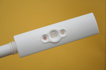 pregnancy test: negative