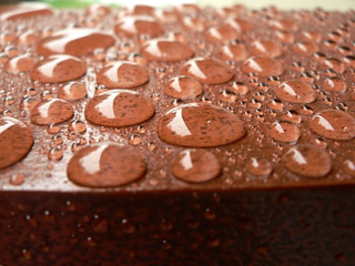 raindrops on deck 4